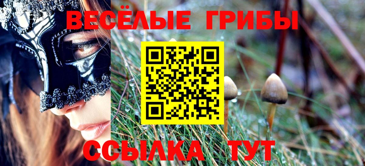 Ульяновск  Галлюциногенные грибы мицелий  Псилоцибиновые грибы ЛСД  Вход с VPN 