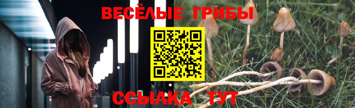 Псилоцибиновые грибы прущие грибы Ульяновск